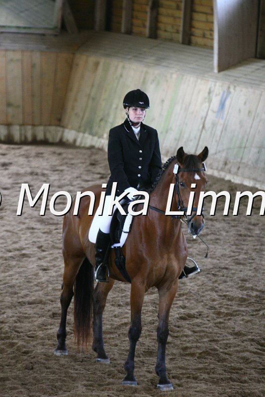 006M4383_Dressur E.JPG